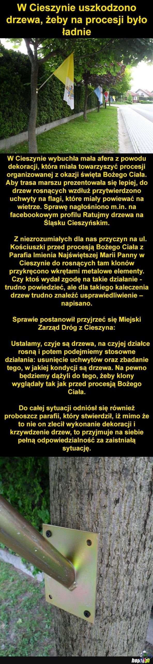 A Swiety Franciszek z Asyzu mowil, zeby kochac zwierzeta i rosliny…