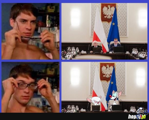 Co ja pacze