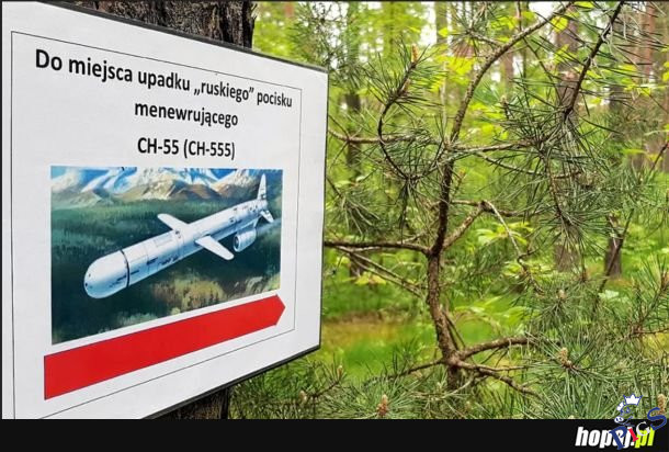 Jaki kraj takie atrakcje w lesie