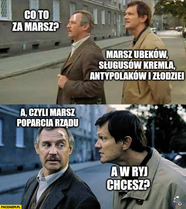 Marsz poparcia rzadu