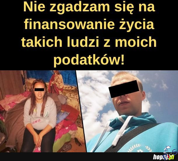 Niestety, nikt się mnie nie pyta o zdanie