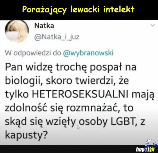 Porazajacy lewacki intelekt