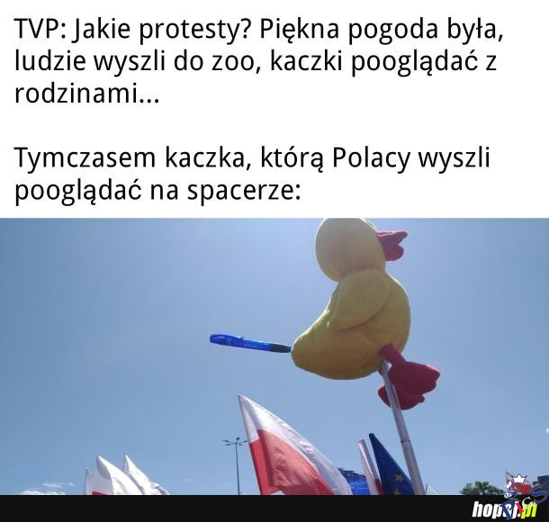 W Warszawie mieści się zoo, które jest większości całej Polski