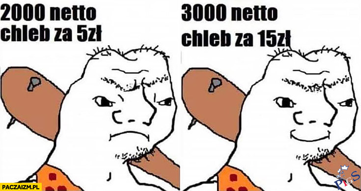 Wyborca PiS ekonomista raczej nie jest