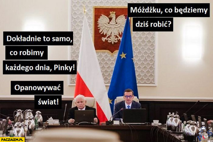 Zaraza opanuje swiat!