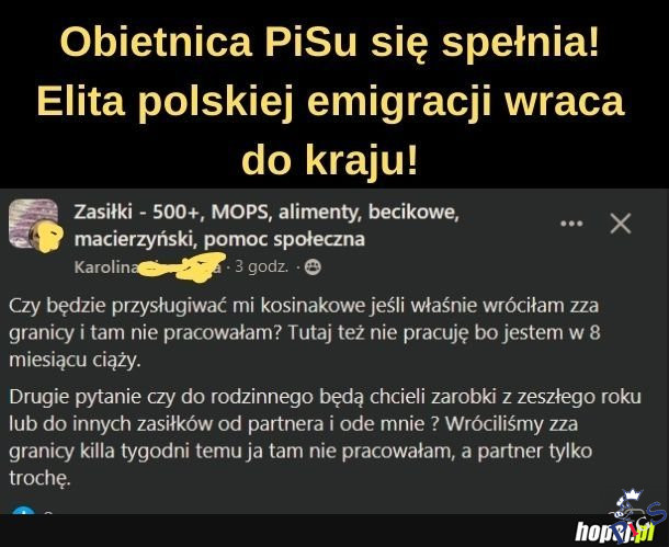 Elita polskiej emigracji wraca do kraju