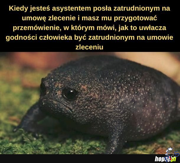 Idealny człowiek do tej roboty! Zna temat od podszewki!