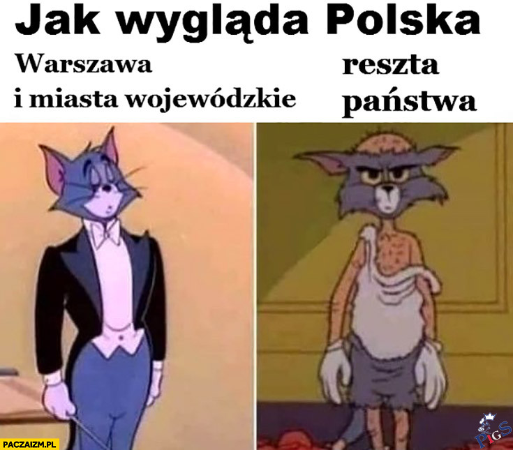 Jak wyglada Polska