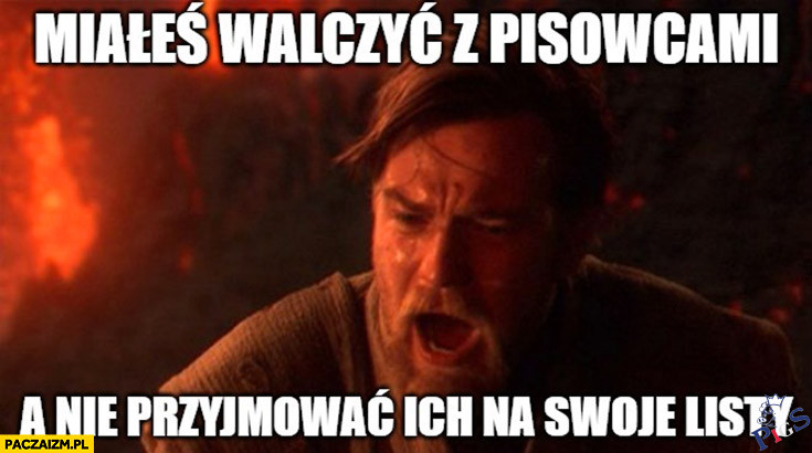 Konfederacie, miales walczyc z PiSowcami