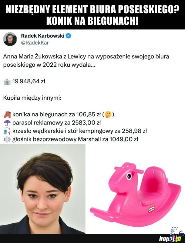 Konik na biegunach