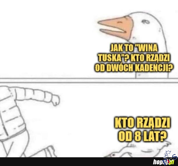 Na to wychodzi, że Tusk