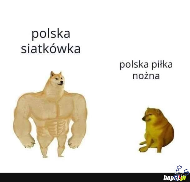 Polski sport