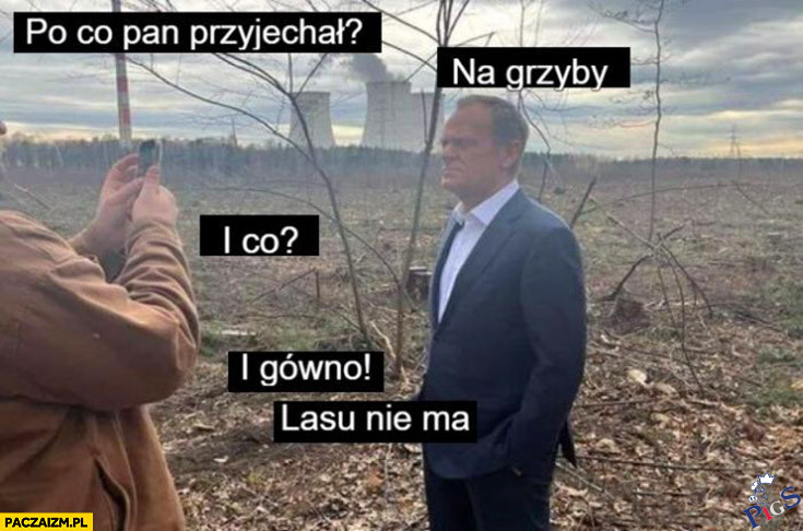 Bo zle PiSiory las zlikwidowali!