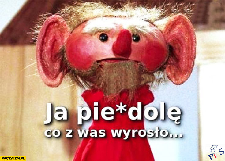 Drodzy posłowie i posłanki