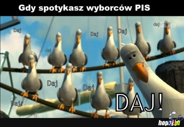 Gdy spotykasz wyborcow PiSu