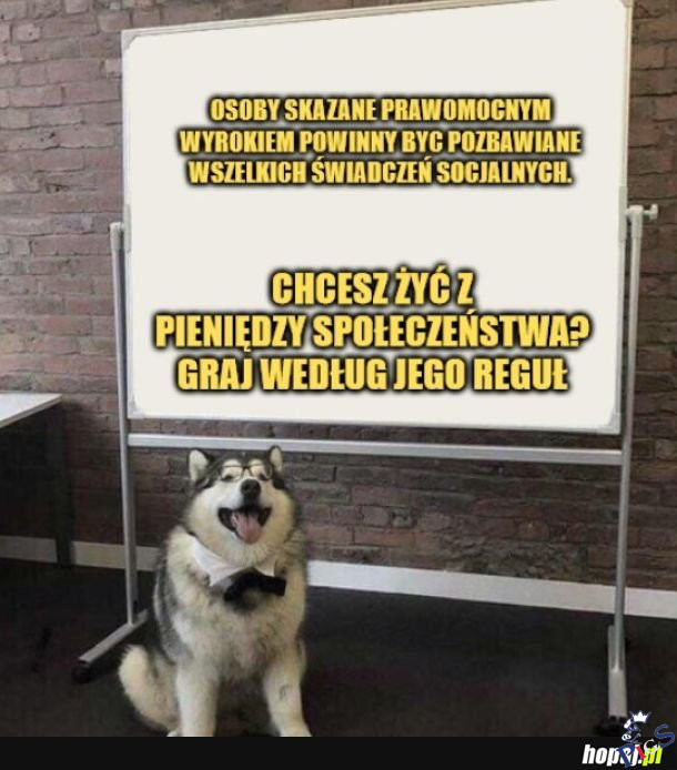 Graj według reguł