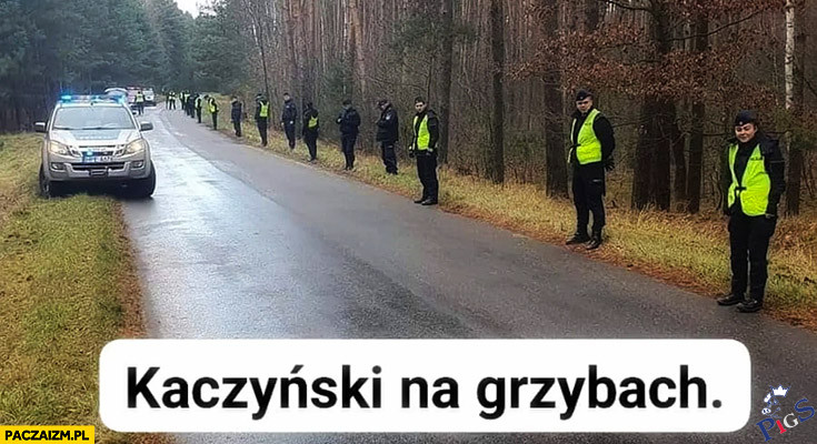 Kaczynski na grzybach