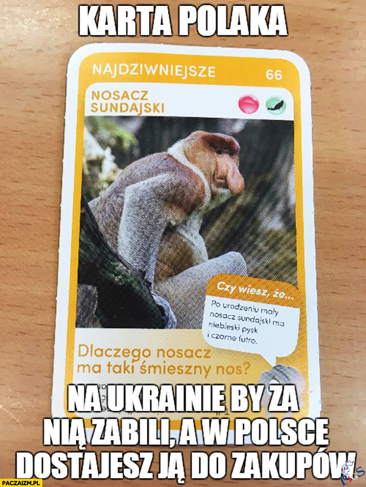Karta Polaka