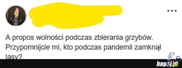 Kto to był?