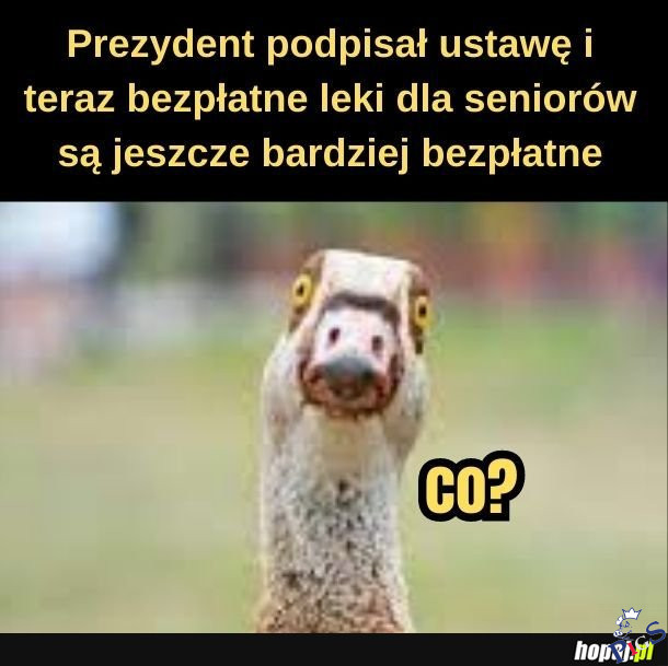 Leki