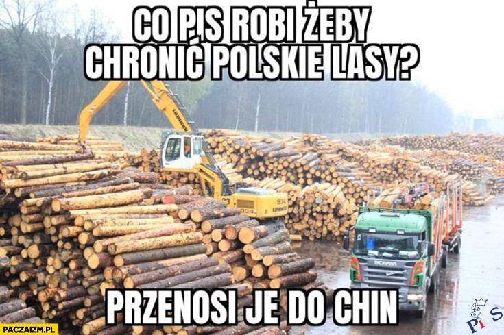 PiS chroni polskie lasy
