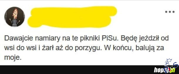 Pikniki