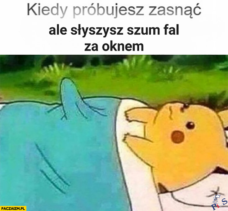 Szum fal