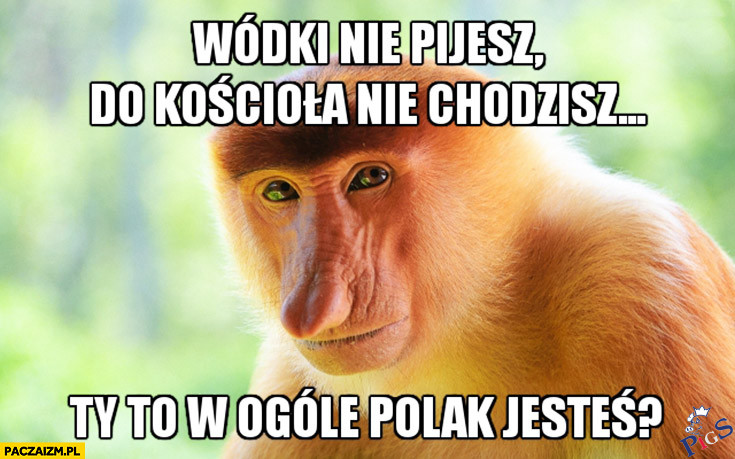 To ty w ogóle Polak jestes?