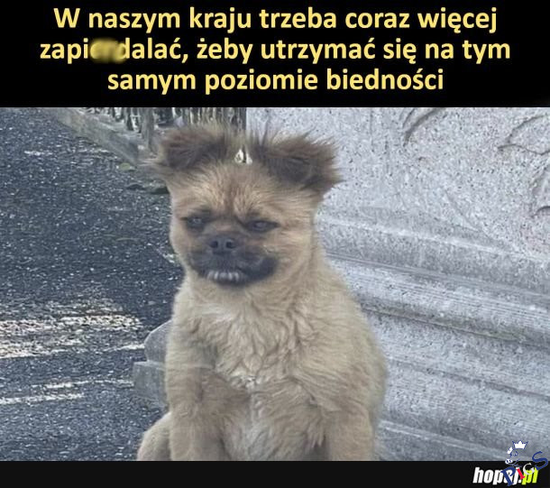 Trzymajmy poziom!