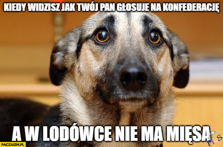 Twój nos