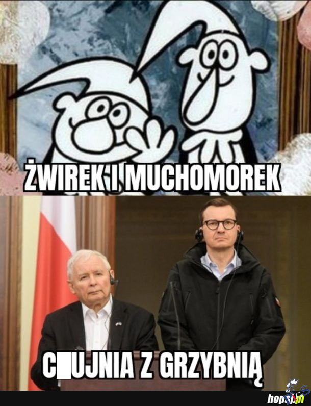 Zwirek i Muchomorek naszych czasow