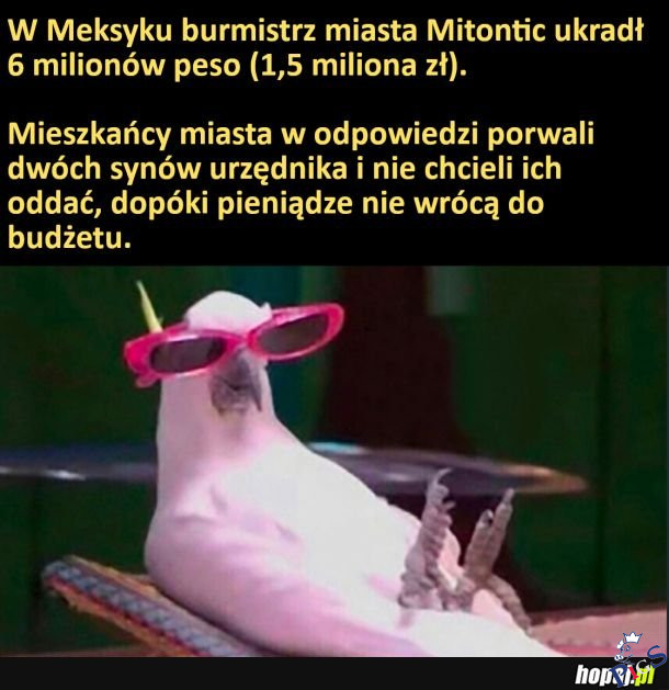 Burmistrzowie bojcie sie!