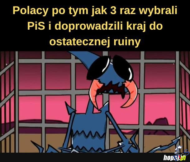 Do 3 razy sztuka?