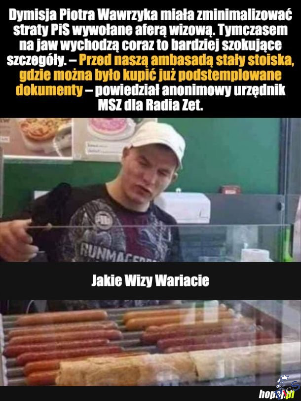 Jakie wizy wariacie?