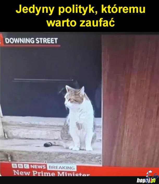 Jedyny polityk, któremu warto zaufać