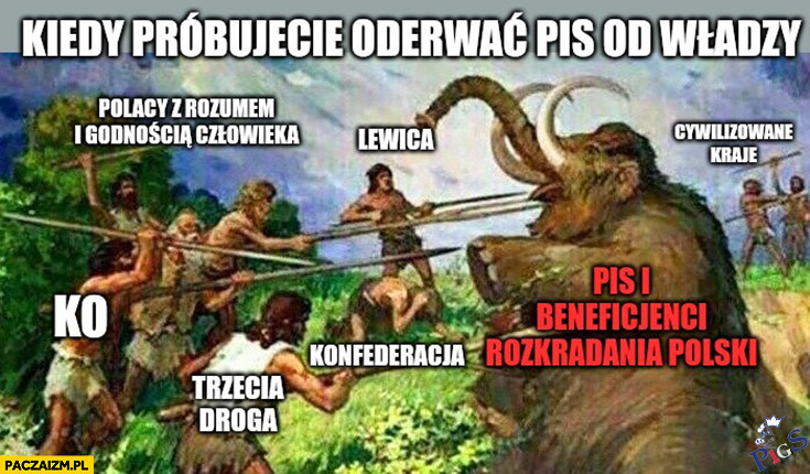 Kiedy próbujecie oderwać PiS od władzy