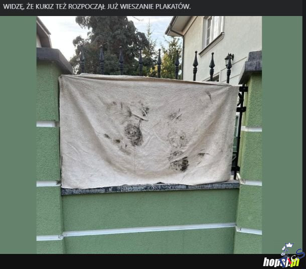 Kukiz rozpoczał już wieszanie plakatów