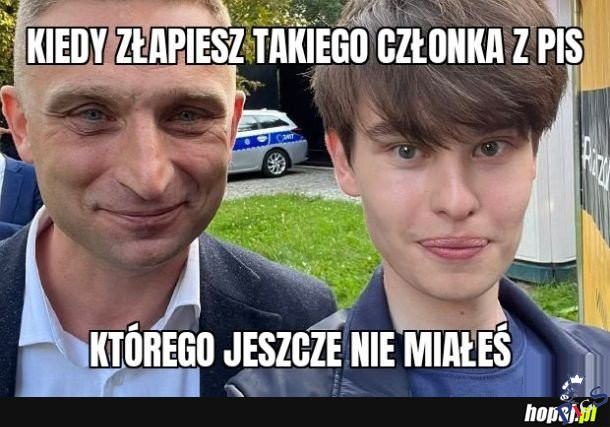 Łapanie członkow z PiSu