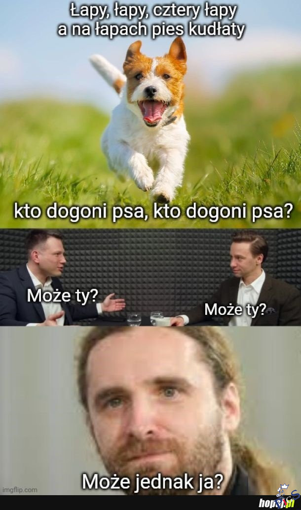 Łapy, łapy, cztery łapy