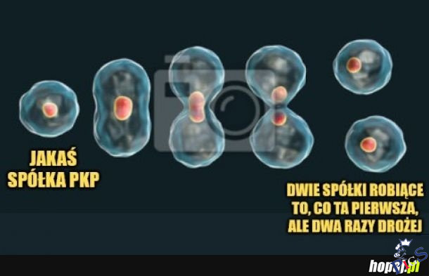 Narodziny spółki