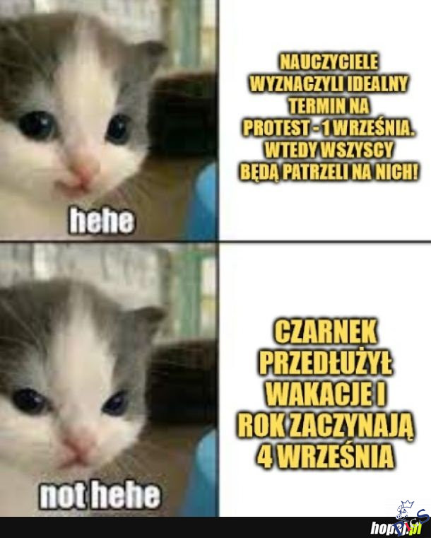 Nauczyciele vs. Czarnek 0:1