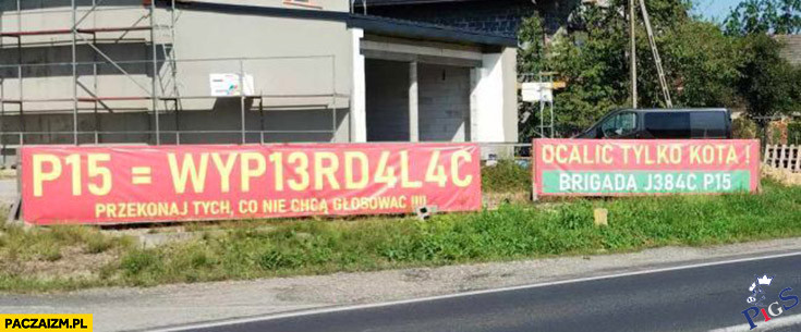 Ocalić tylko kota
