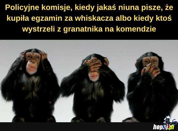 Policyjne komisje