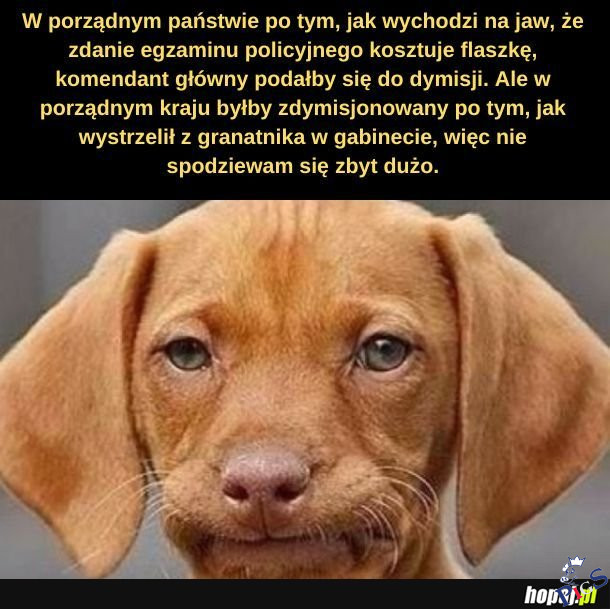 Porządne państwo