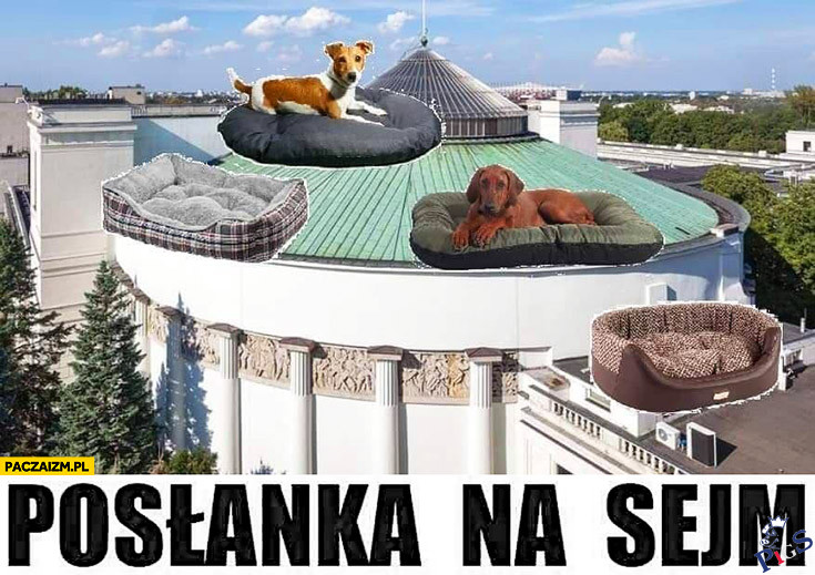 Posłanka na sejm