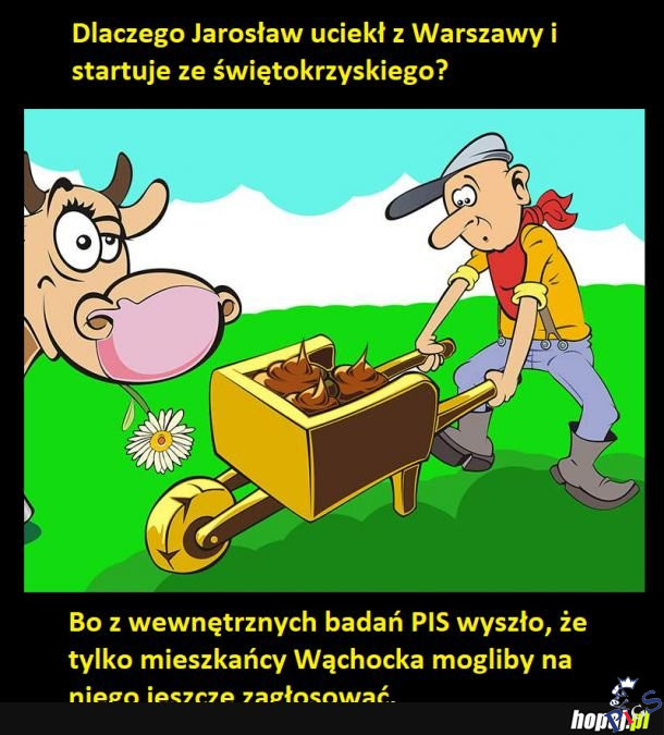 Sołtys Wąchocka