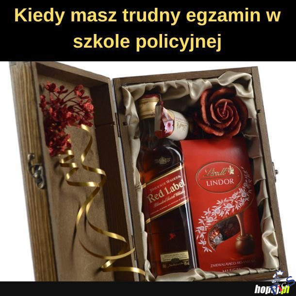 Sposób na zdanie egzaminiu w szkole policyjnej