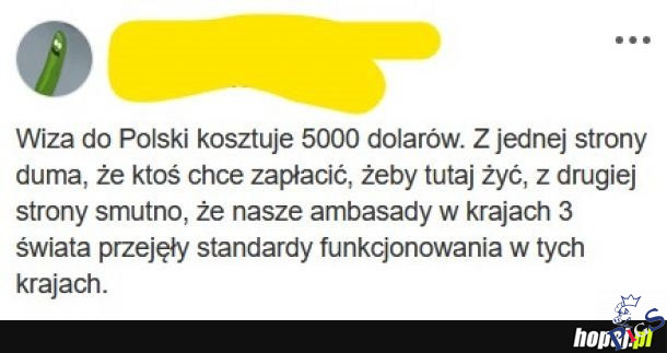 Wiza
