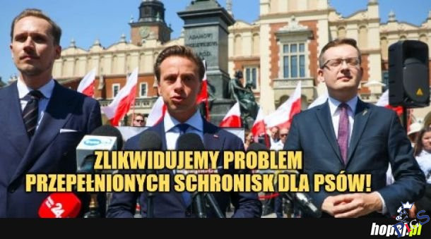 Zlikwidują