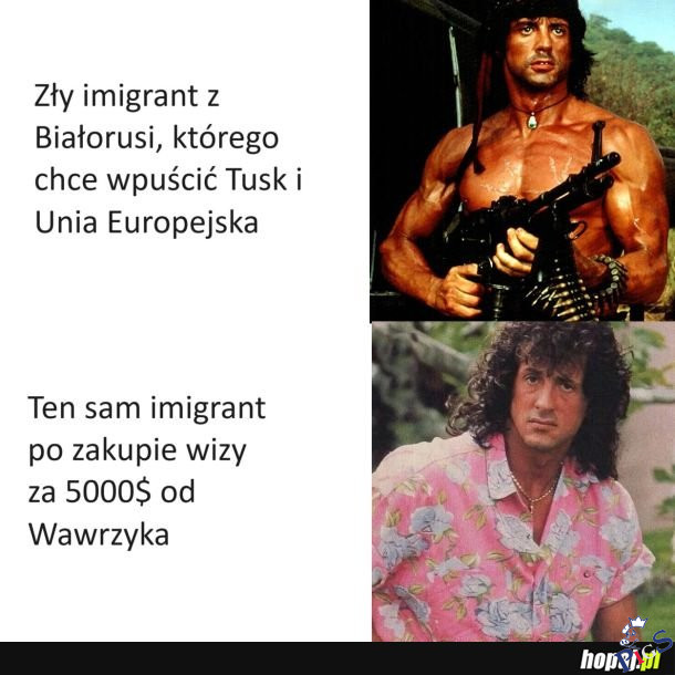 Zły imigrant vs pisowski imigrant